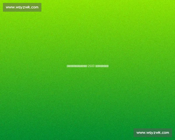 莱比锡与席尔瓦达成协议，狼队 2500 万欧要价成转会障碍